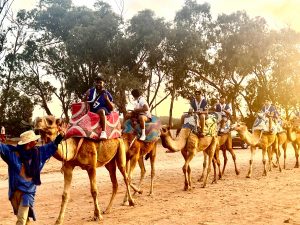 whatsapp image 2025 10 13 at 22.24.12