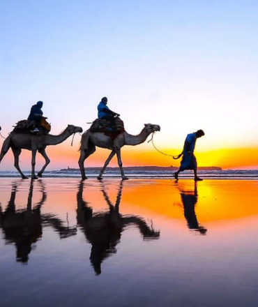 Sunset Camel Ride Agadir