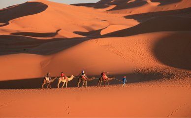 Small Sahara Experience